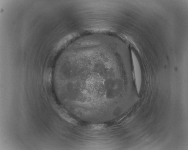 X0000083990495200703021943