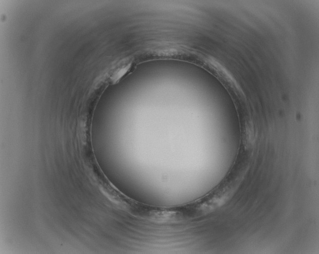 X0000083990497200703021943