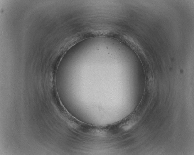 X0000083990498200703021943