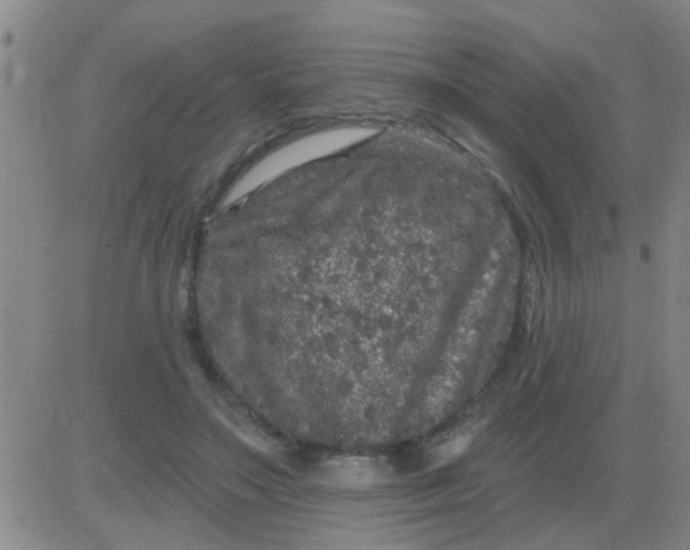 X0000083990499200703021943