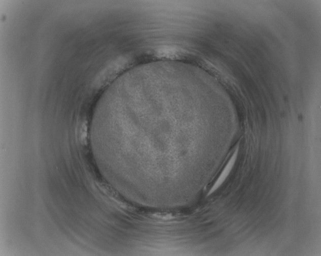 X0000083990502200703021943