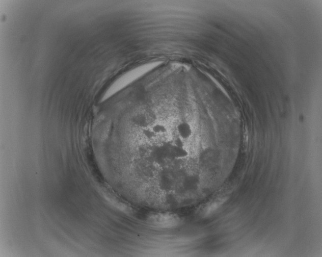 X0000083990503200703021943