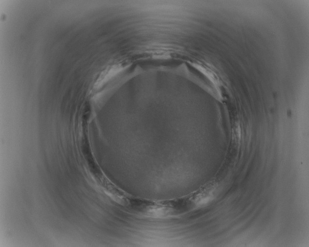 X0000083990504200703021943