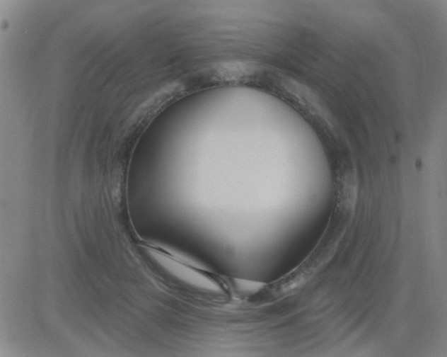 X0000083990505200703021943