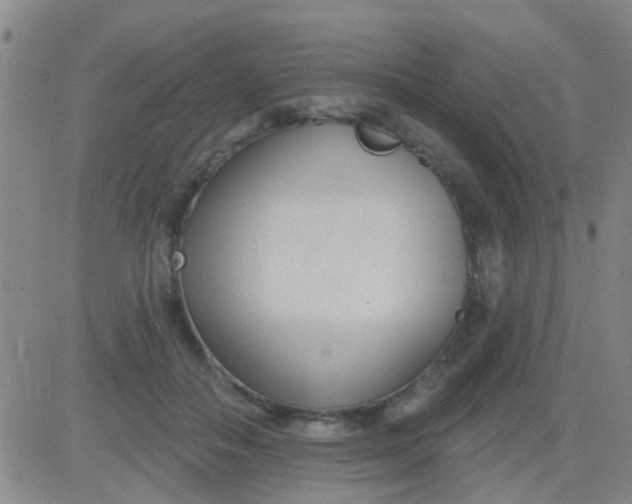 X0000083990506200703021943