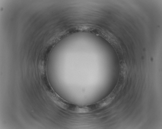 X0000083990510200703021943