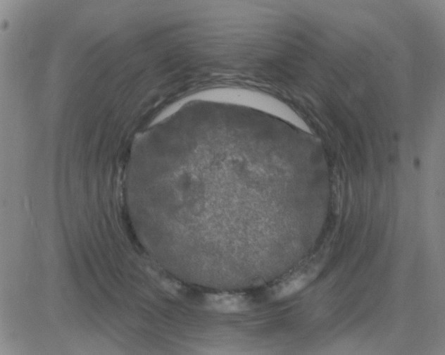 X0000083990511200703021943