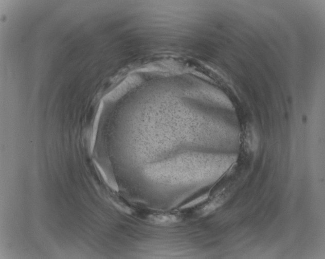 X0000083990512200703021943