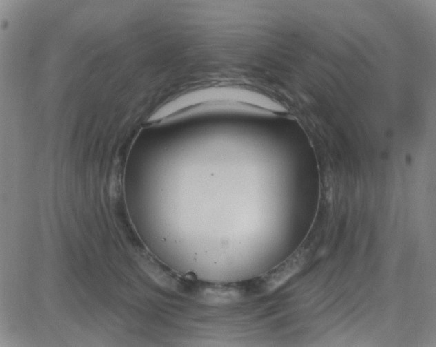 X0000083990515200703021943