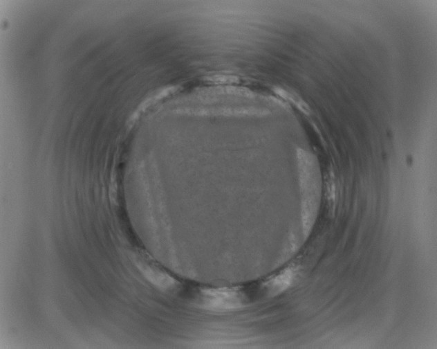 X0000083990516200703021943