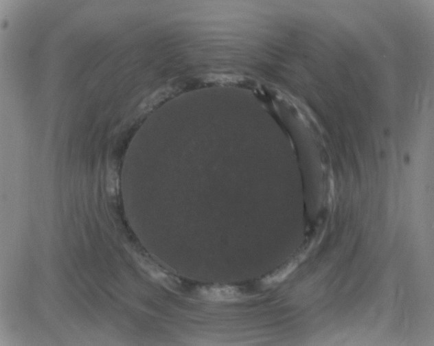 X0000083990517200703021943