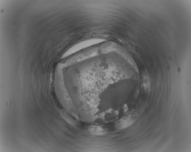 X0000083990519200703021943