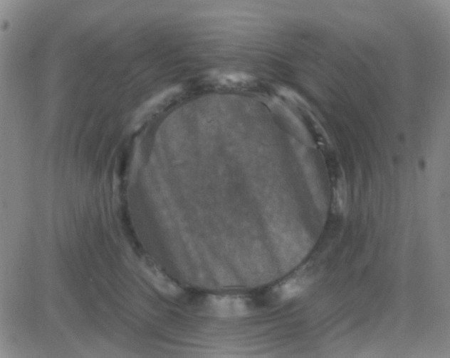 X0000083990520200703021943