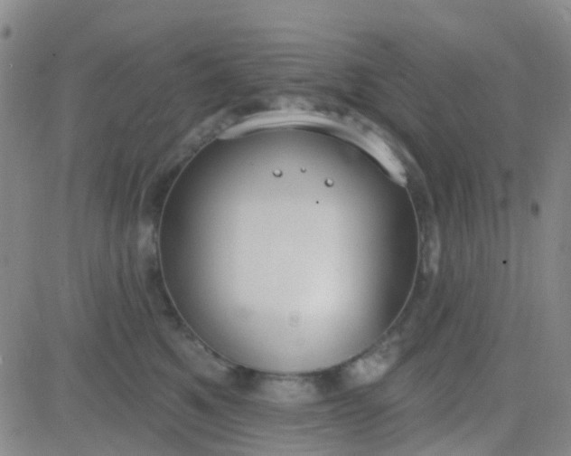 X0000083990521200703021943