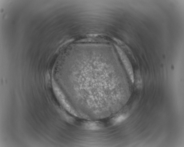 X0000083990523200703021943