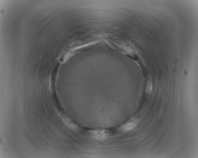 X0000083990524200703021943