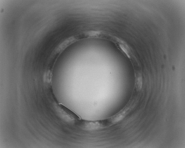 X0000083990525200703021943