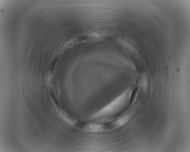 X0000083990526200703021943