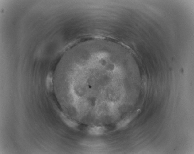 X0000083990527200703021943