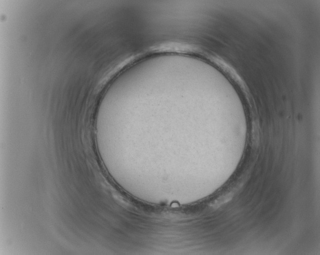 X0000083990529200703021942