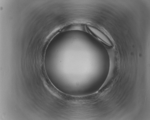 X0000083990530200703021942