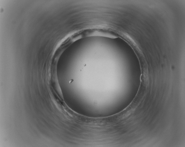 X0000083990532200703021942