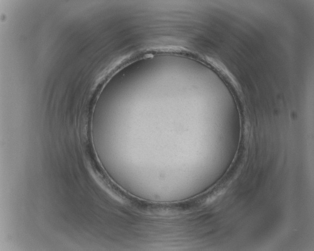 X0000083990533200703021942