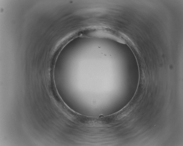 X0000083990535200703021942