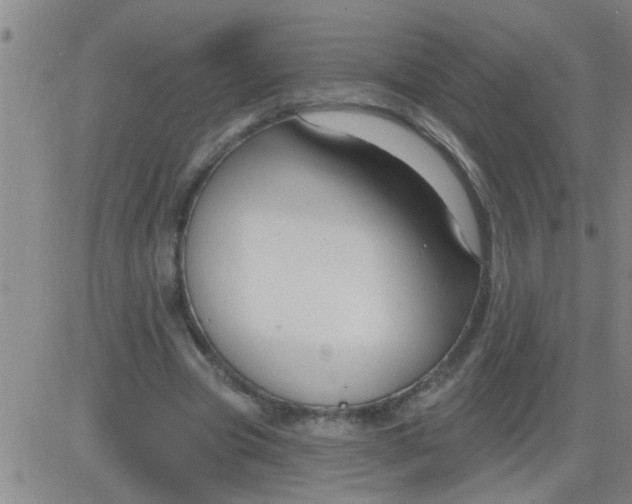 X0000083990537200703021942