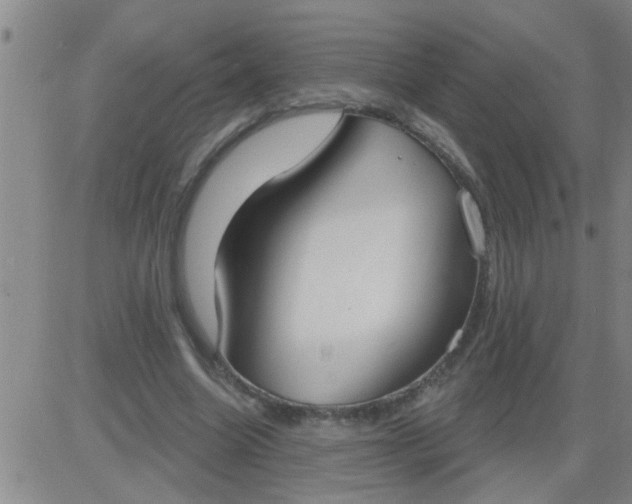 X0000083990538200703021942