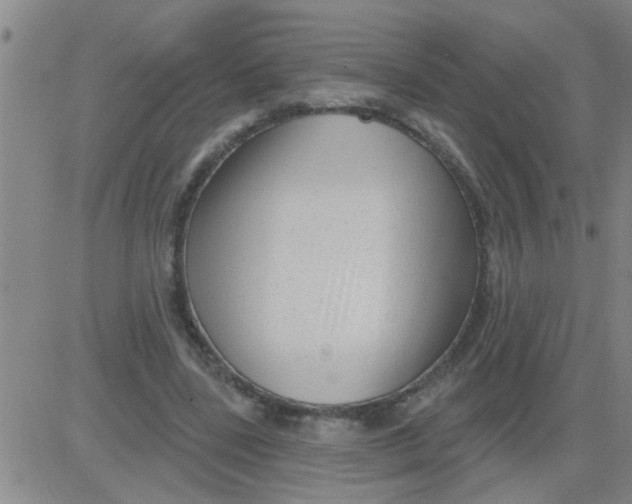 X0000083990539200703021942