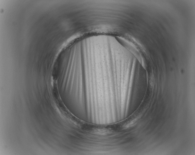 X0000083990540200703021942