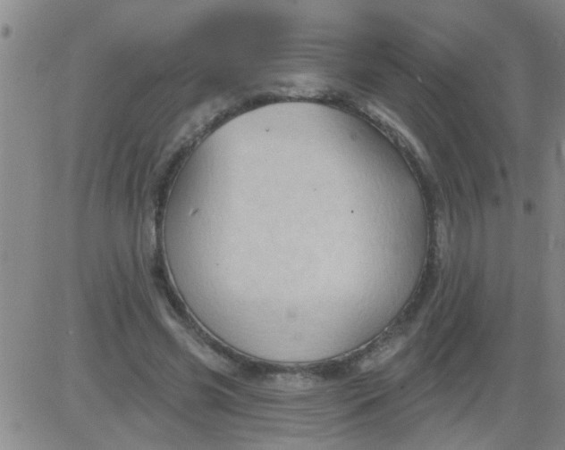 X0000083990541200703021942