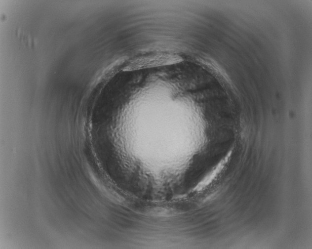 X0000083990542200703021942