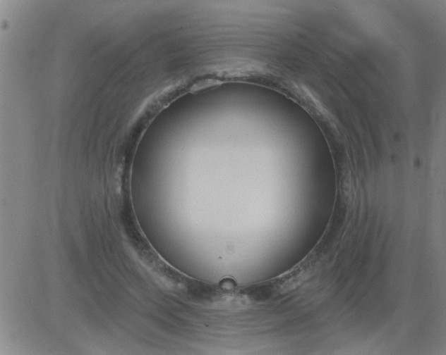 X0000083990543200703021942