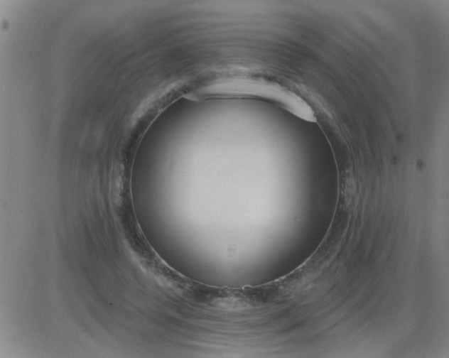 X0000083990544200703021942