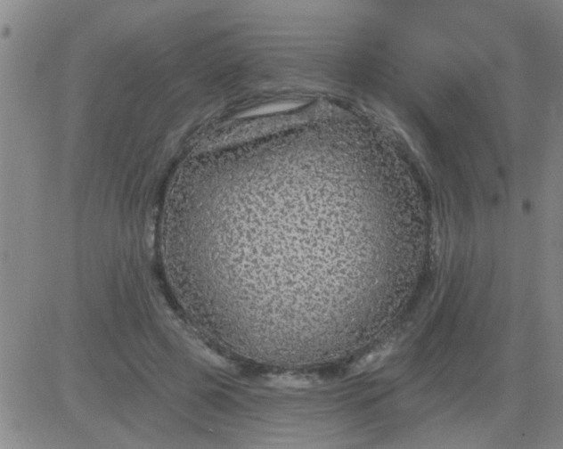 X0000083990545200703021942