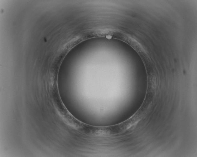 X0000083990546200703021942