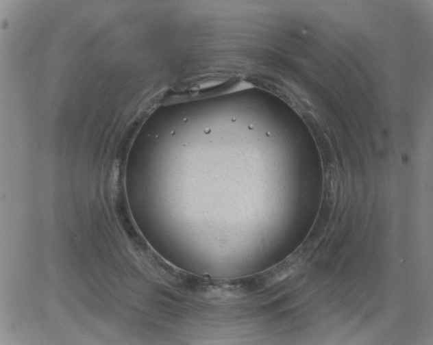 X0000083990550200703021942