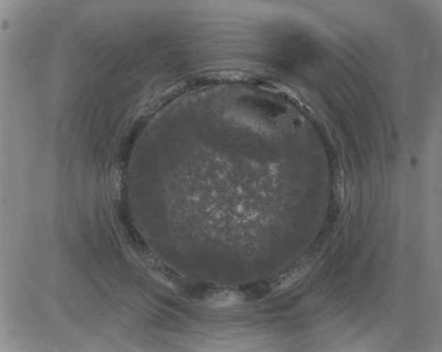 X0000083990551200703021942