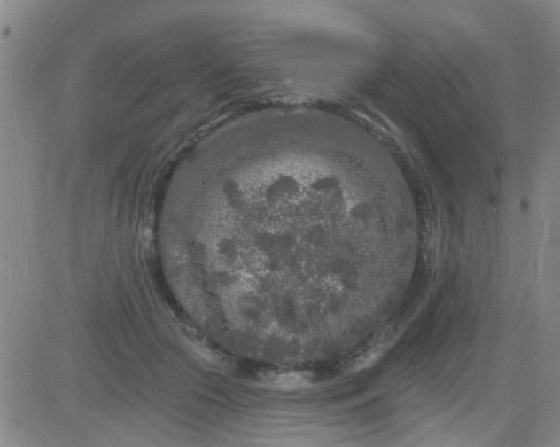 X0000083990553200703021942