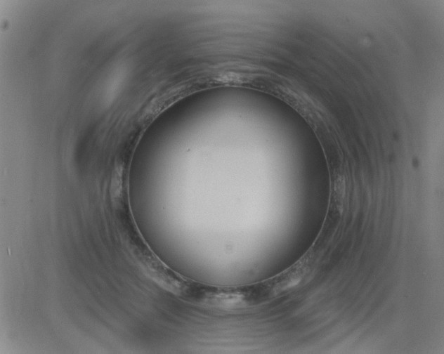 X0000083990554200703021942