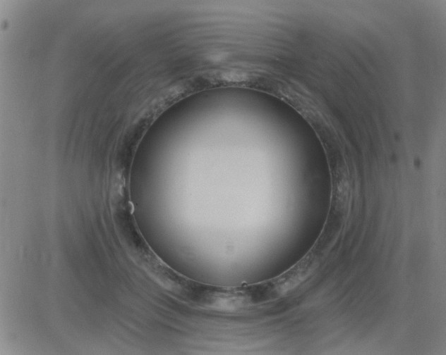 X0000083990555200703021942