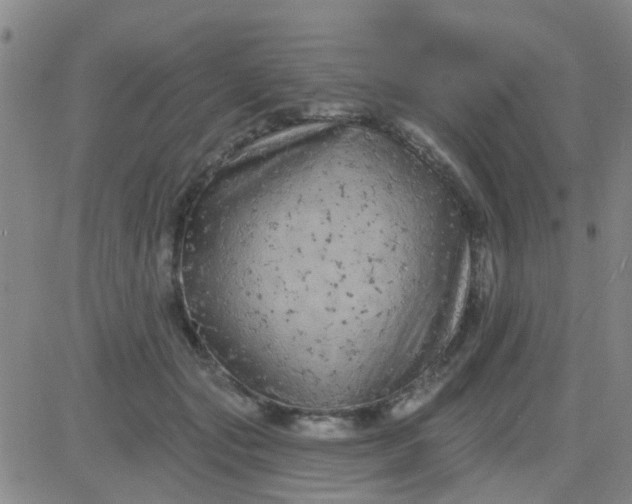 X0000083990557200703021942