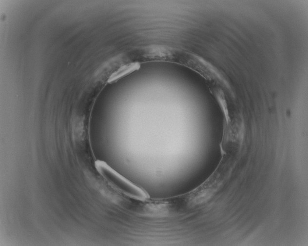 X0000083990560200703021942