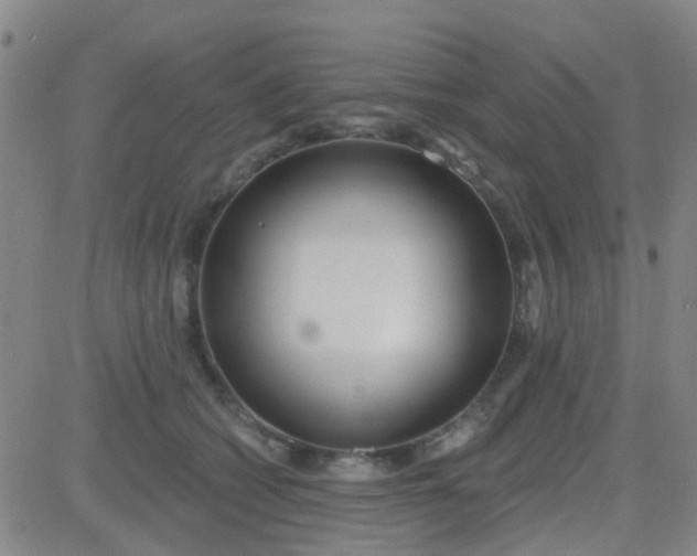 X0000083990562200703021942