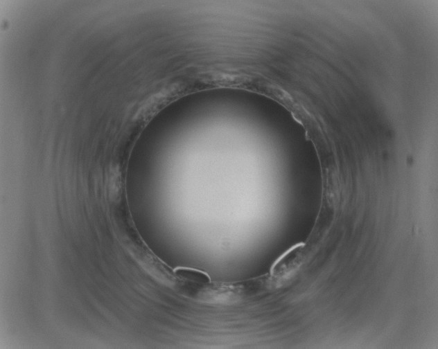 X0000083990563200703021942