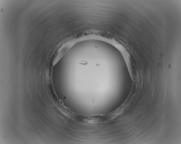 X0000083990564200703021942