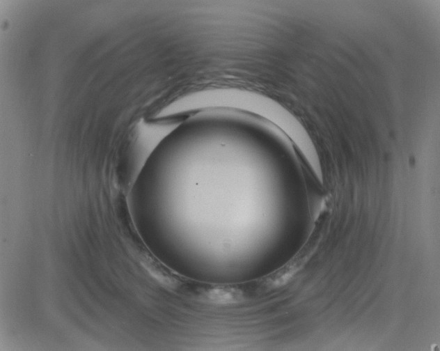 X0000083990566200703021942