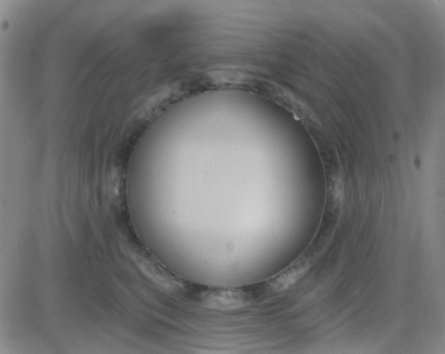 X0000083990567200703021942